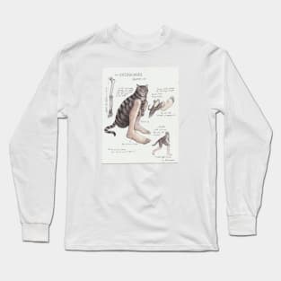 Catsquatch Long Sleeve T-Shirt